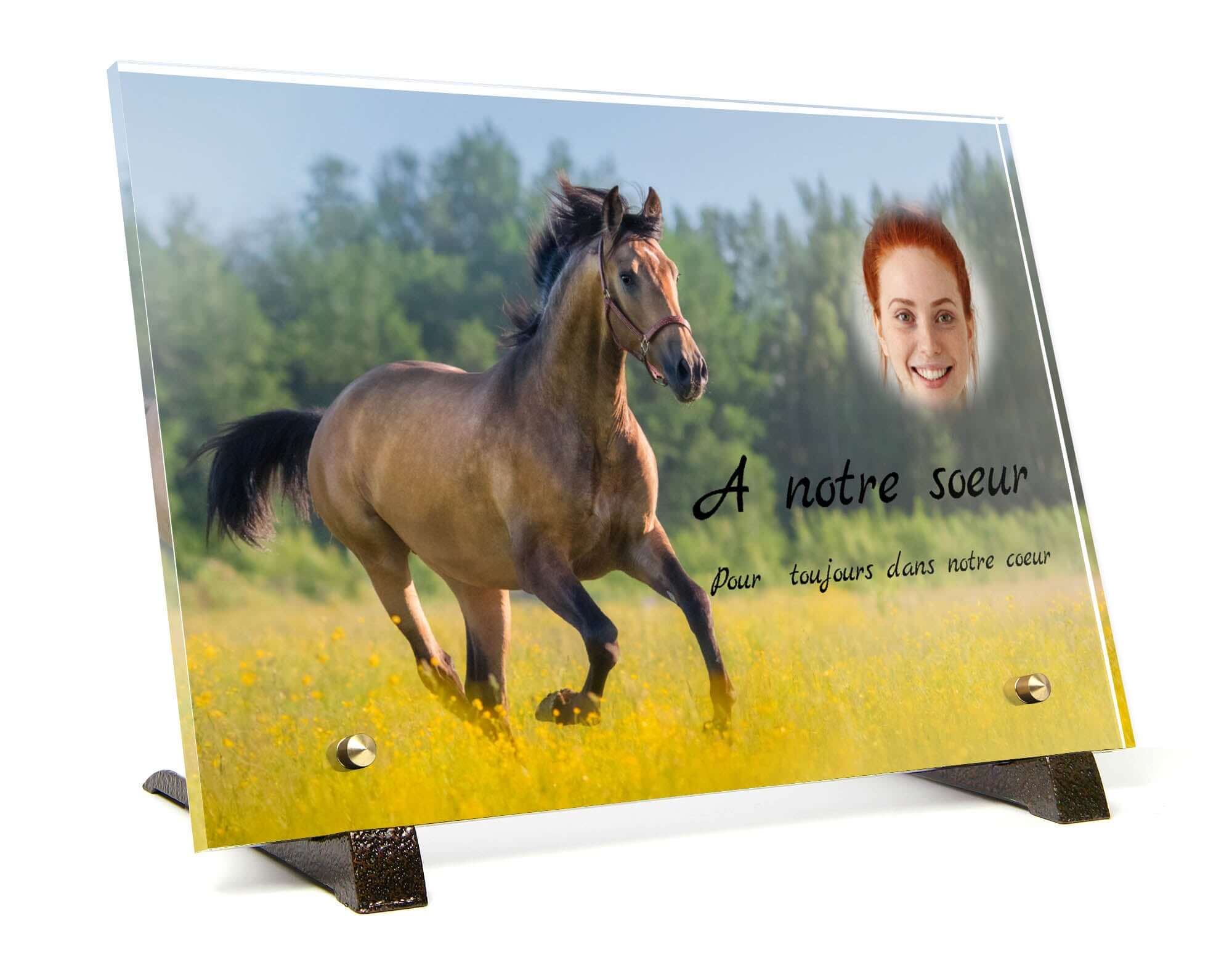 Couvertures et chemises pour chevaux et poney Couvertures et chemises pour chevaux et poney